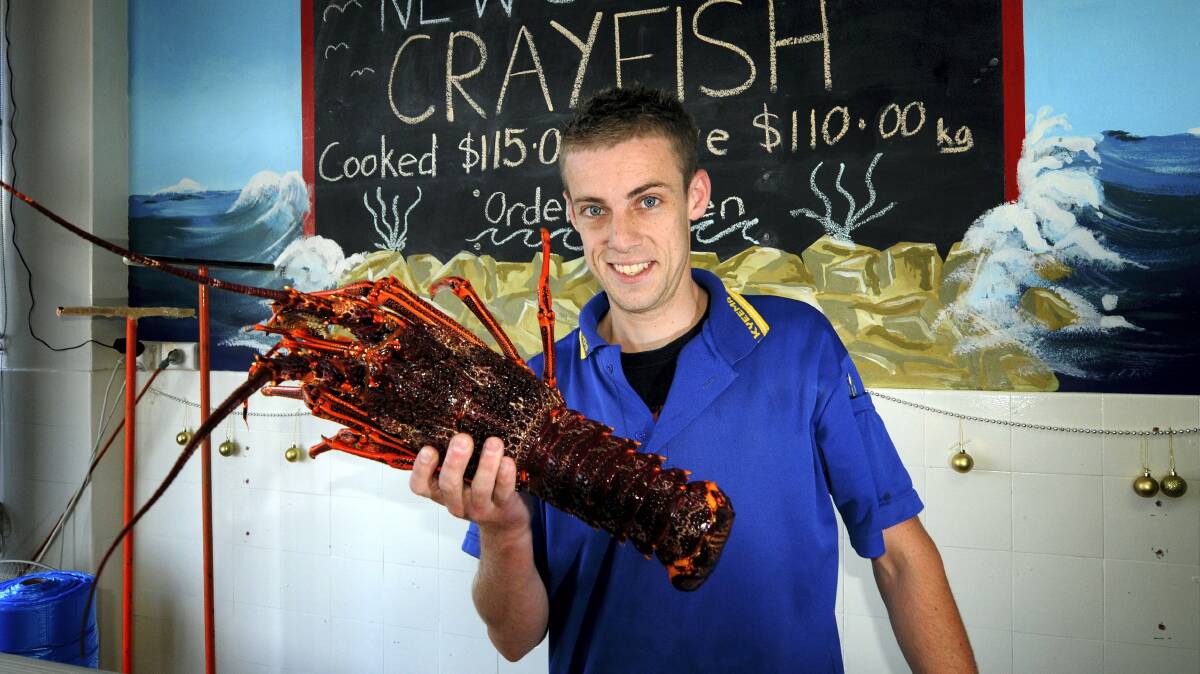 Kyeema Seafoods general manager Zac Langford shows off an expensive southern rock lobster. Picture: GEOFF ROBSON