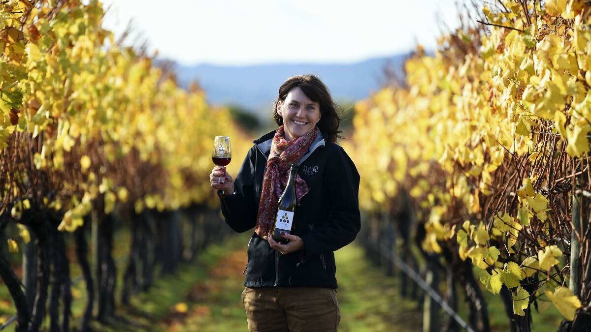 Goaty Hill Wines owner Kristine Grant among the vines ... wine producers say early signs are pointing to a much better yield this year.  Picture: MARK JESSER