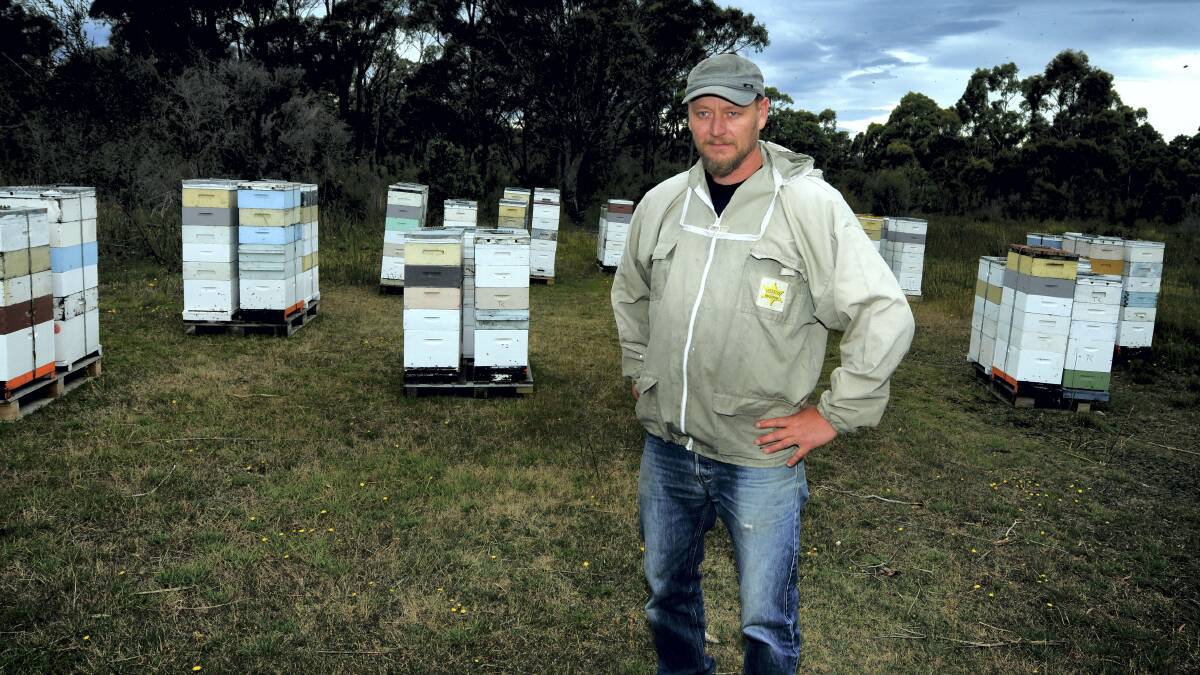 Northern Tasmanian apiarist Tristan Campbell with some of his hives. Picture: GEOFF ROBSON