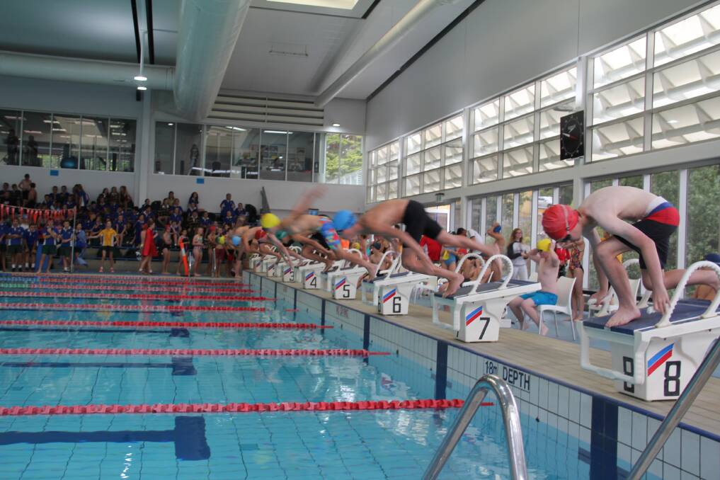 Diving in: Start of the under-13 boys' 50m freestyle at St Patrick's College middle school swimming carnival.