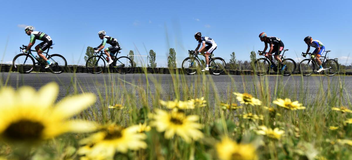 Bright future: Wes Sulzberger leads the way in his home-state race during the Symmons Plains criterium stage of the 2015 Tour of Tasmania. Picture: Scott Gelston
