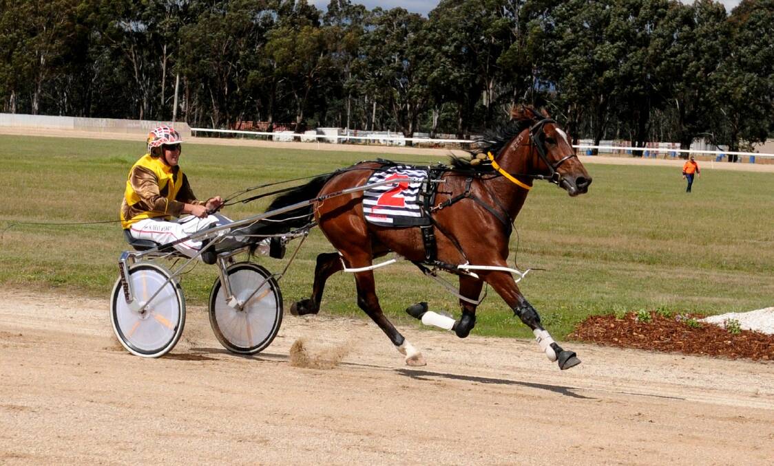 ALL SET: Action from previous Carrick Pacing Club meetings. Racing will return to the Meander Valley track on Friday.