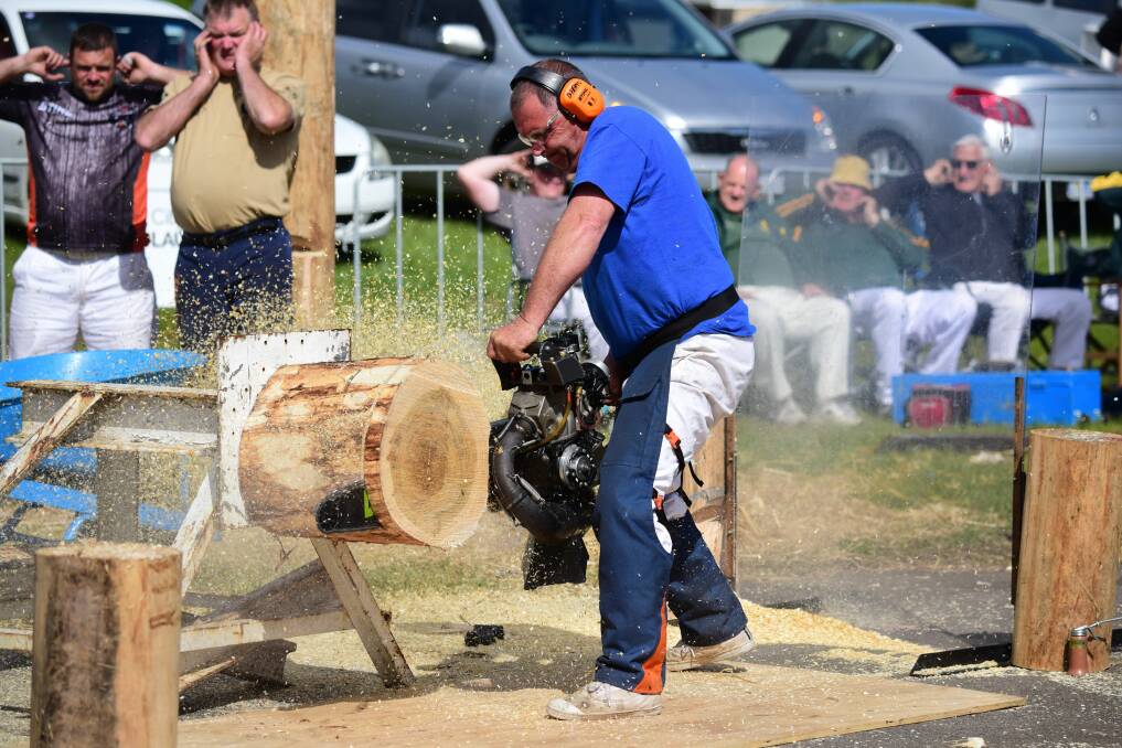 Eat my dust: Dale Beams, of Winkleigh, and his hotsaw at the Launceston Show. Picture: Paul Scambler.