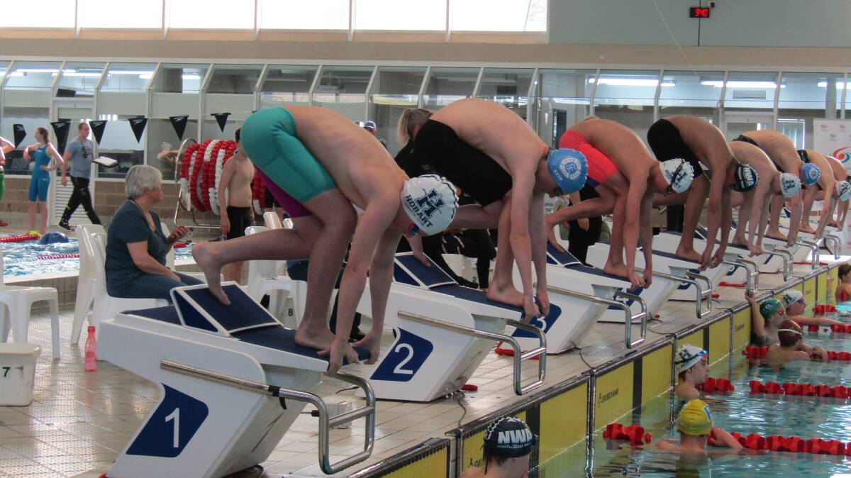 Action from the Tasmanian short-course swimming championships.