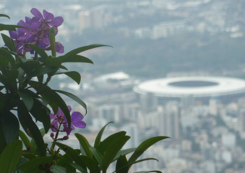 ABOVE: A view of the Maracana football stadium through the Tijuca flora. 
LEFT: The Cascatinha Taunay.
BELOW: Glimpses of Rio appear throughout the walks.
