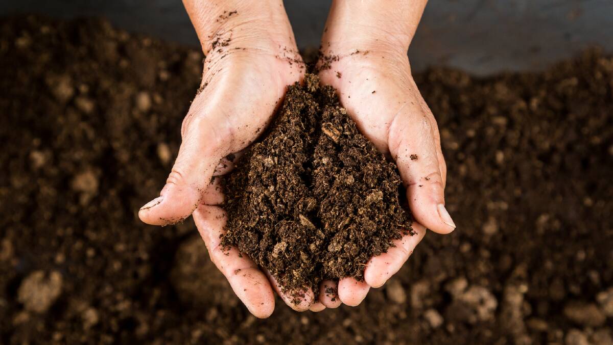 Good soil is key to a good garden.
