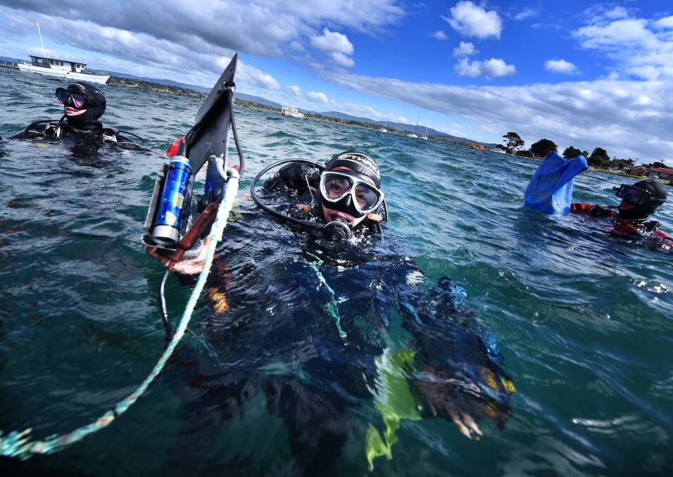 CLEAN-UP: Masa Tatsumi about to begin a clean-up dive at York Cove. Picture: Scott Gelston