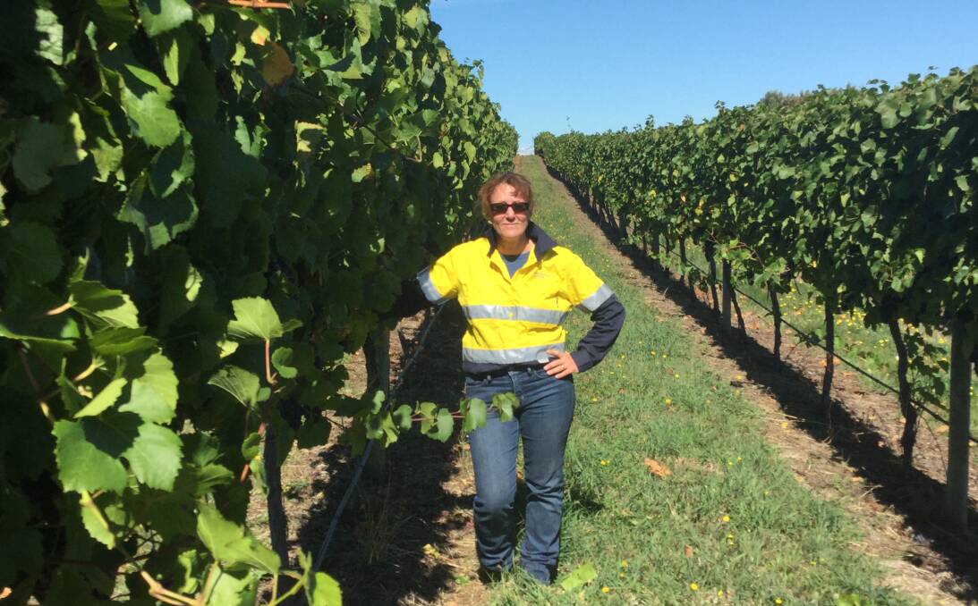 Insight: Treasury Wine Estates vineyard manager Kelly Hoffman has praised a new TasTafe course.