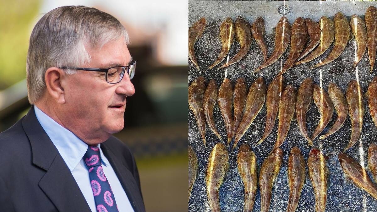 Left: Police Minister Rene Hidding. Right: A NW Tasmania man was recently fined $4782 for exceeding the daily catch limit of flatheads. Picture: Facebook