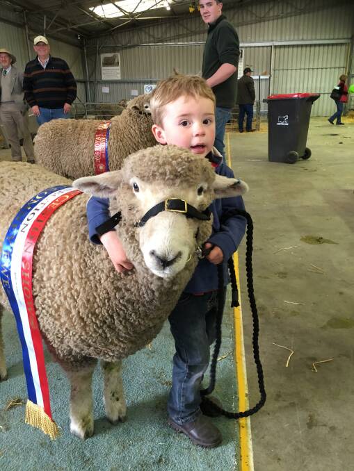 Cooper Hogarth, of Evandale, paraded around with his sheep "baa". Picture: Rochelle Galloway