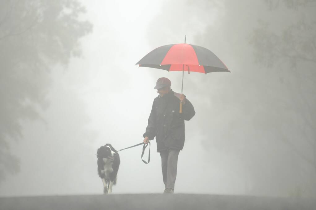 Jeni James and Zarco of Trevallyn on their morning walk through the mist and rain at Trevallyn Reserve. Picture: Phillip Biggs