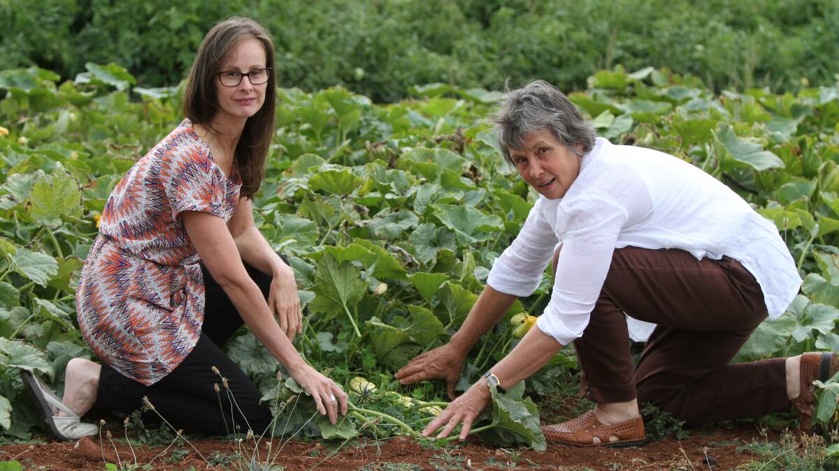 An event will be held this weekend at St Helens to celebrate the role of women in agriculture. Picture: FILE.