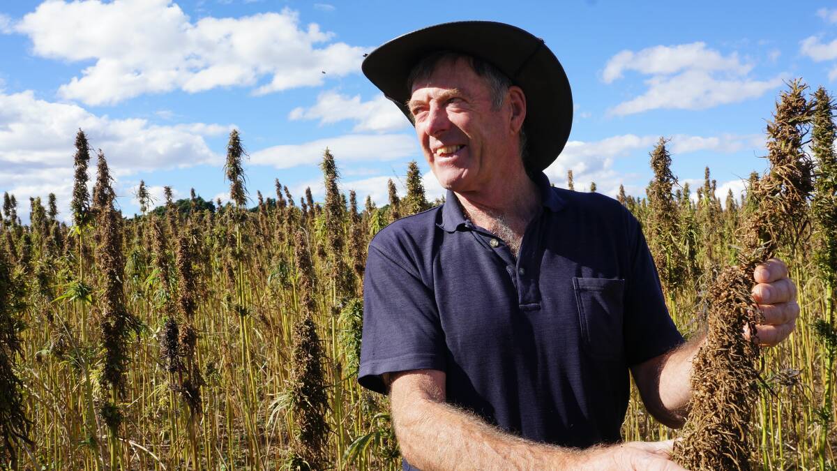 Movement on hemp a positive for Tasmania
