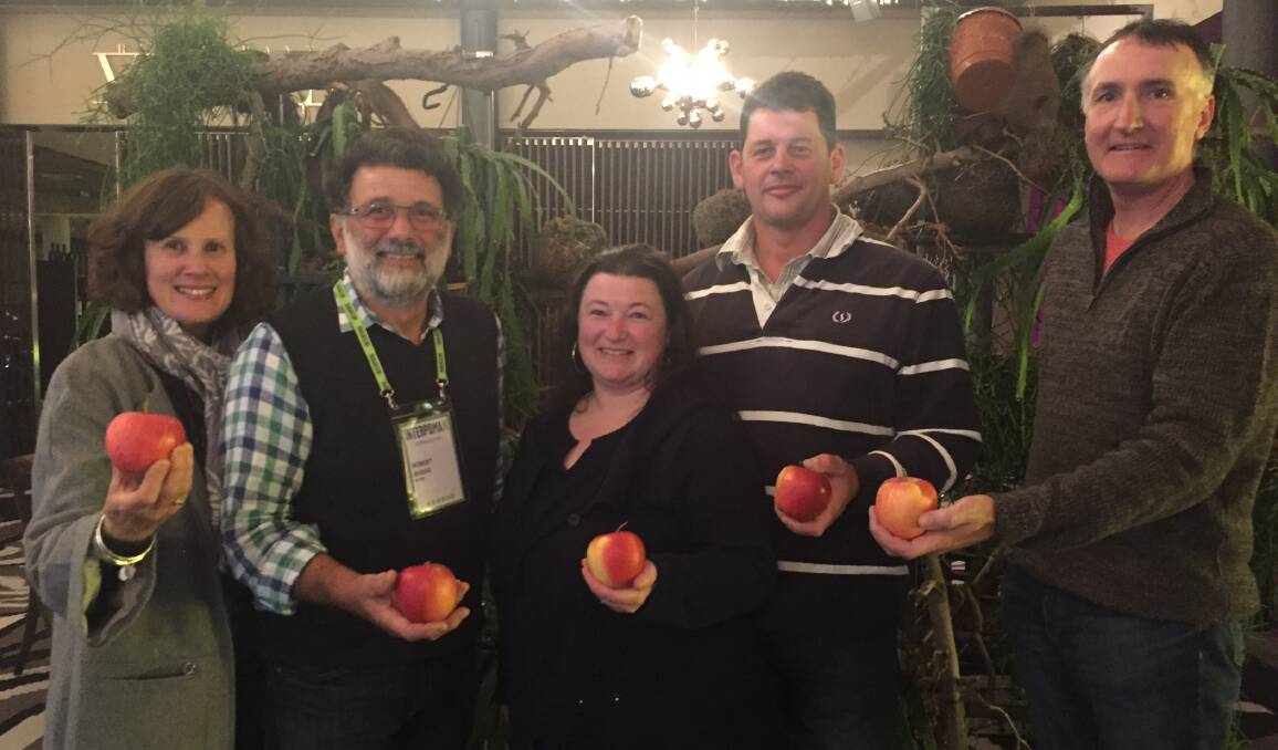 INTERPOMA EXPATS: Brendon Francis (far right), of Tasmania, is at the international trade show on the apple, Interpoma. Picture: CAITLIN JARVIS.