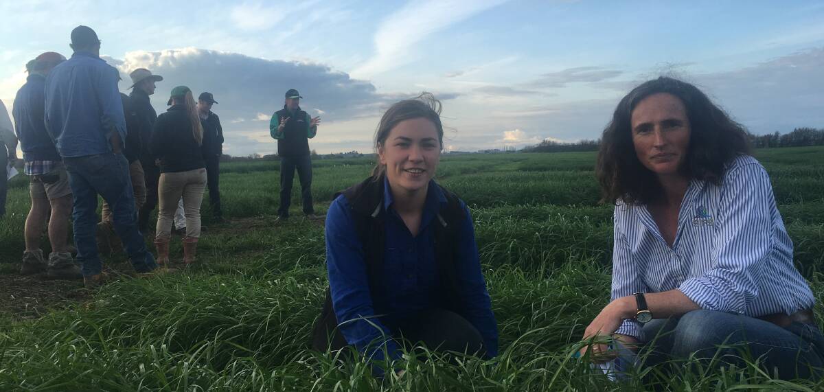 Southern Farming Systems extension officer Georgina Moloney and project and trials officer Heather Cosgriff at the Tasmanian crop walk at Cressy.