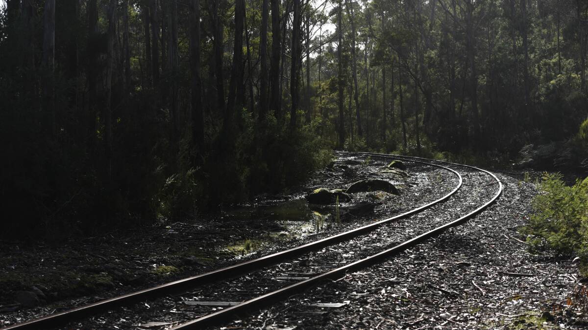 The state government and Dorset Council will have a third party investigate the viability of a heritage rail trail in the rail corridor between Launceston and Scottsdale.
