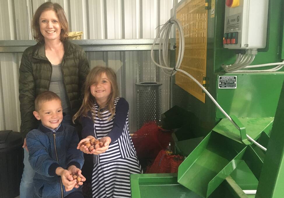 PRODUCER: Tamar Valley Hazelnuts owner Carol Bracken with her children Simon, 5, and Emma, 8, at their Glengarry farm. Picture: Caitlin Jarvis.