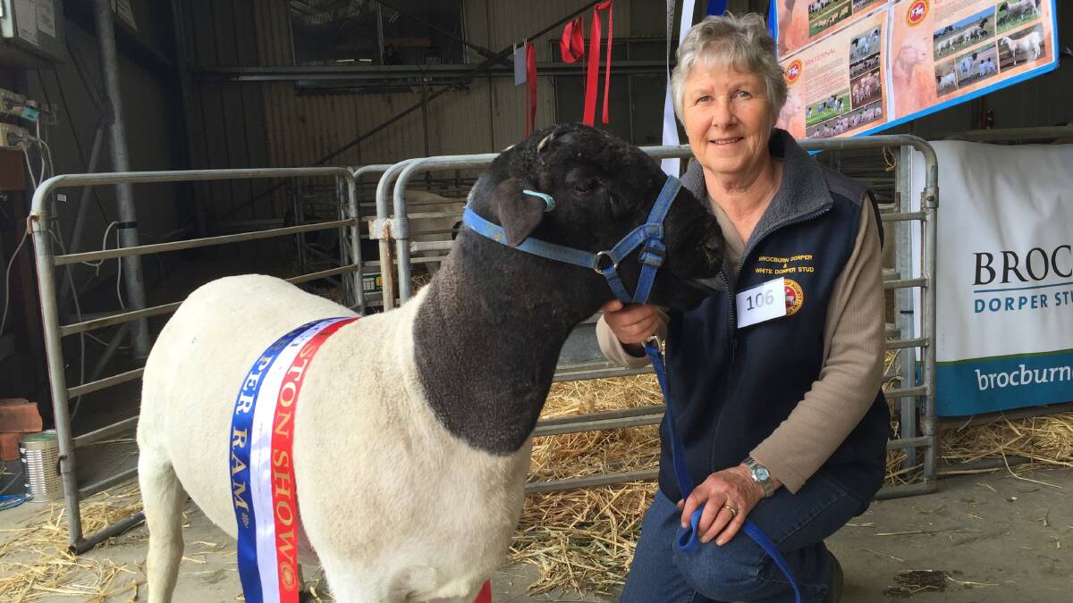 GRAND CHAMPION: Brocburn dorper stud owner Jo Lyall with the ram that has won grand champion ram at the Royal Launceston Show. Picture: Caitlin Jarvis.