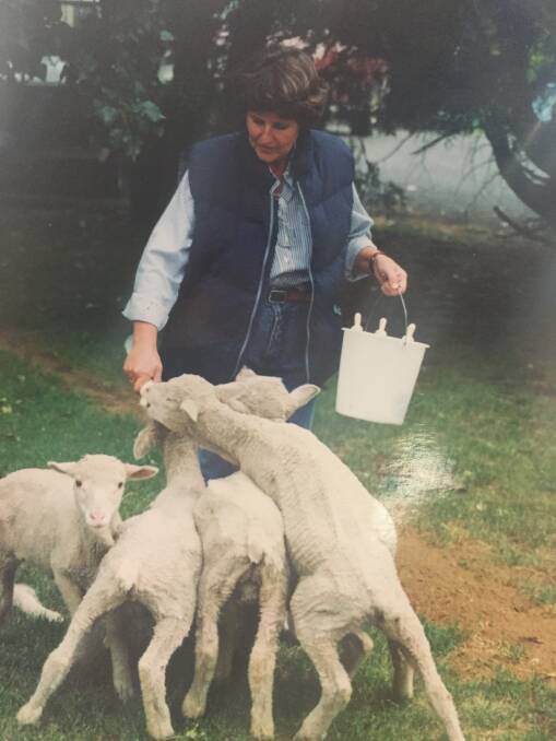 REARING: Wool producer Robyn Quill in 1995 hand-rearing four lambs. Picture: supplied.