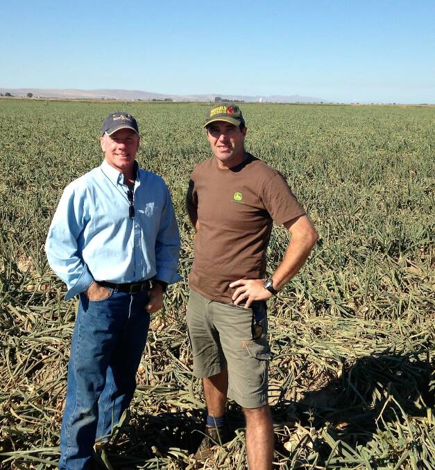 2014 Nuffield scholar and Hagley farmer Greg Gibson and US onion producer Bruce Swindler.