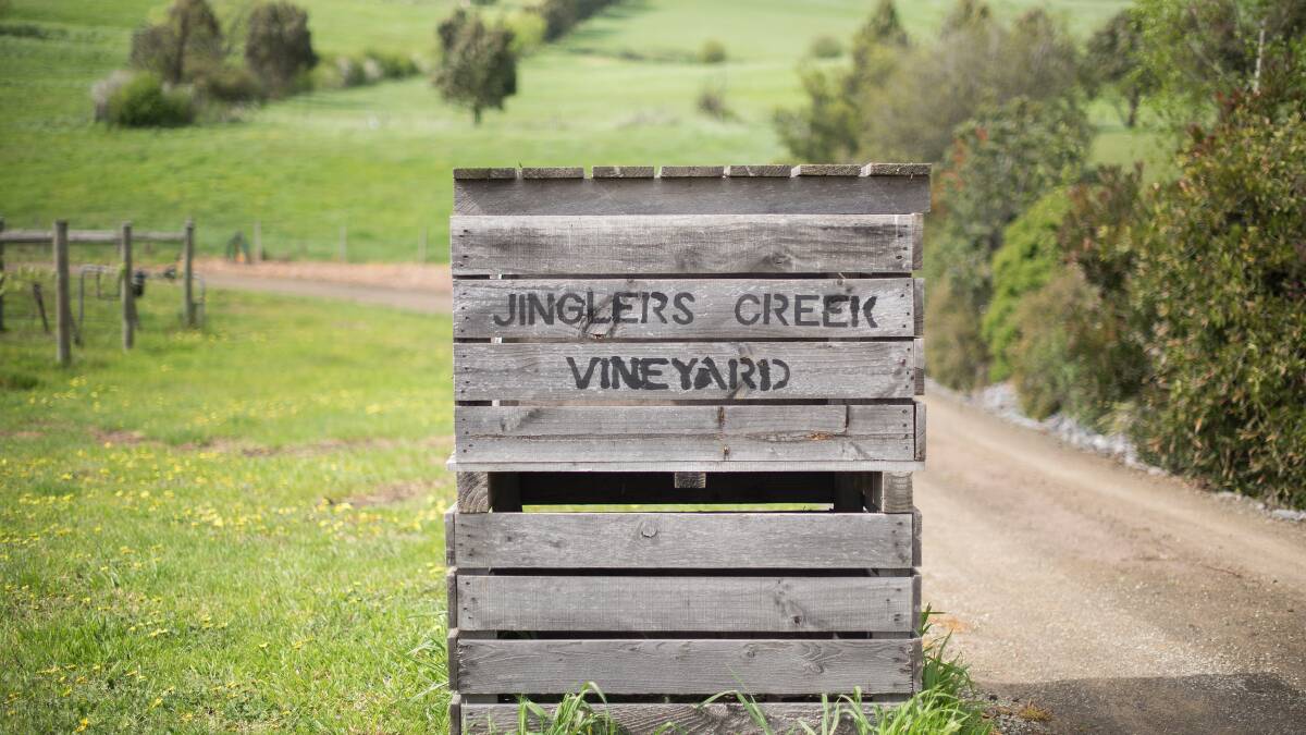 Live the vineyard dream
