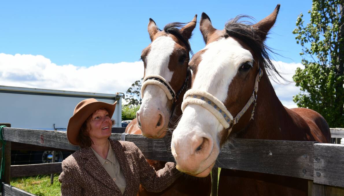 NOSE AROUND: There are more than 60 classes for horses at this year's show.