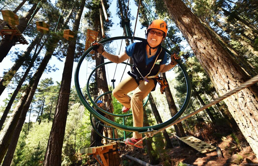 Roped in: All ages from four up will enjoy the ropes course at Hollybank - two hours of challenging fun among the trees.