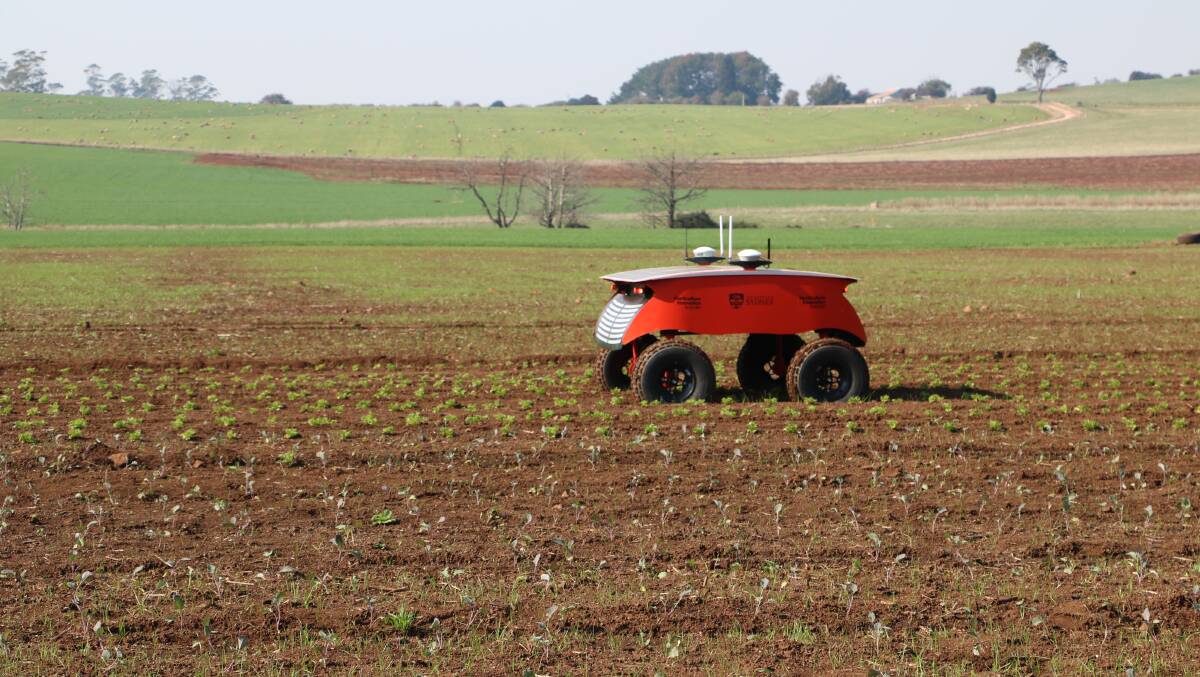 LITTLE RIPPA: Robot for Intelligent Perception and Precision Application being put through its paces in a live demonstartion at TAPG precision ag expo, Deloraine, last week. Picture: Sue Hinton