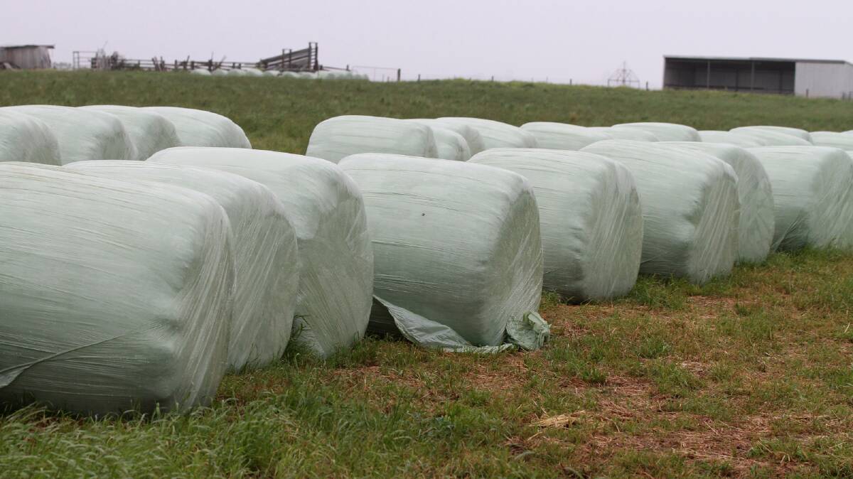 INCREASING SILAGE QUALITY: Tasmanian Institute of Agriculture presents a silage field day at Parkham property Midlothian on Tuesday.