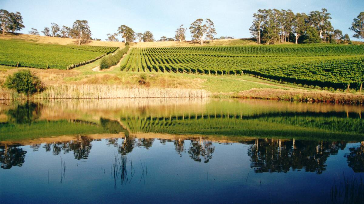 HALL OF HONOUR: Clover Hill at Lebrina has been ranked amongst Australia's top sparkling wines by wine writer Tyson Stelzer. Picture: Supplied