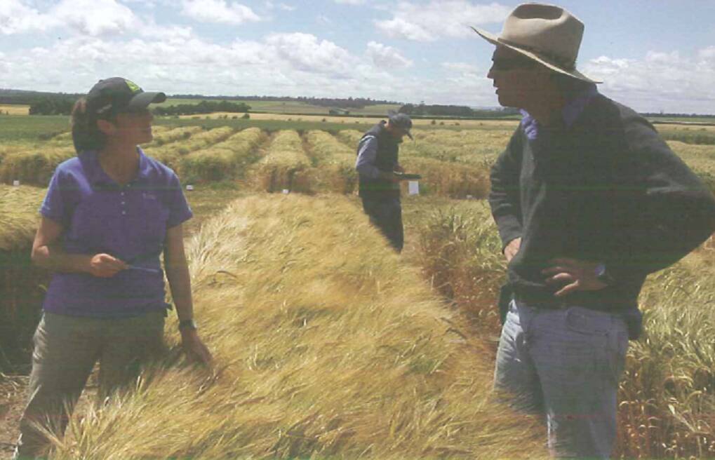 SEEDING IDEAS: Heather Cosgriff speaking with Nick Taylor at the 2016 SFS Annual Spring field day in the SFS Focus Site small plot trials at Pisa Estate, Cressy.
