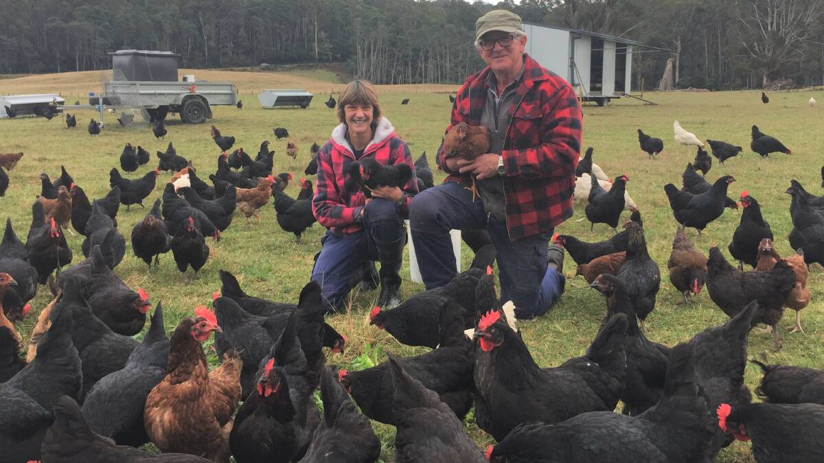 FREE RANGE: Nan and Danny Tubb with some of their 500 happy hens at Meander Pastured Free Range Eggs, Liena. Picture: Johanna Baker-Dowdell