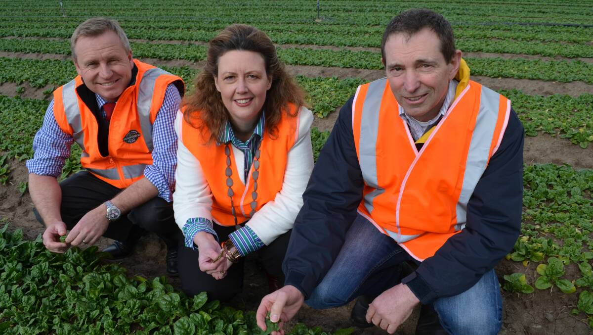 POSITIVE ABOUT FARMING FUTURE: Minister for Primary Industries and Water Jeremy Rockliff on the farm with Rural Business Tasmania chief executive Elizabeth Skirving and TFGA chief executive Peter Skillern.