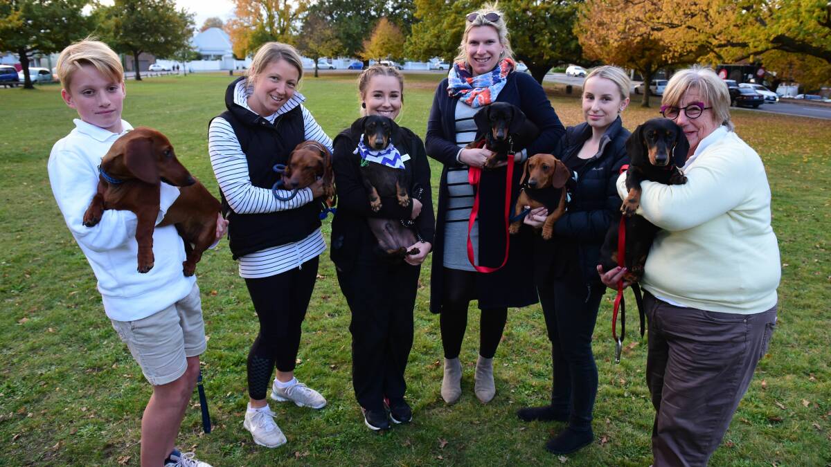 ON YOUR MARKS: Charlie Skipper with Woody, Anna Pedley with Willy, Charlee Green with Elroy, Sophie Weeding with Barney, Shannon McCarthy with Harry and Rosemary Hogg with Penny. Picture: Paul Scambler