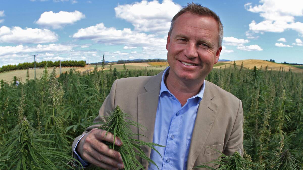 YEARS IN THE MAKING: Minister for Primary Industries and Water Jeremy Rockliff at a Kindred industrial hemp farm after announcing changes to industrial hemp regulations. Picture: Jason Hollister.