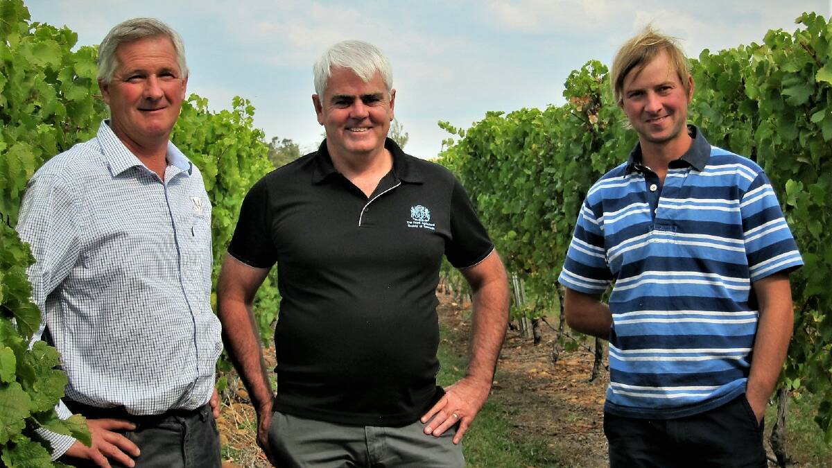 WINNERS ARE GRINNERS: Michael Dunbabin (left), with Scott Gadd, Royal Agricultural Society of Tasmania CEO, and Henry Dunbabin at Milton Vineyard. Picture: Stuart Bridges.
