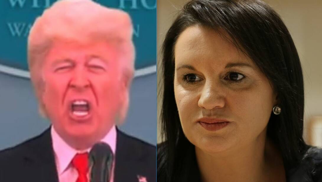 ON GUARD: Jacqui Lambie will be closely observing a visit to Tasmania by a Donald Trump impersonator.