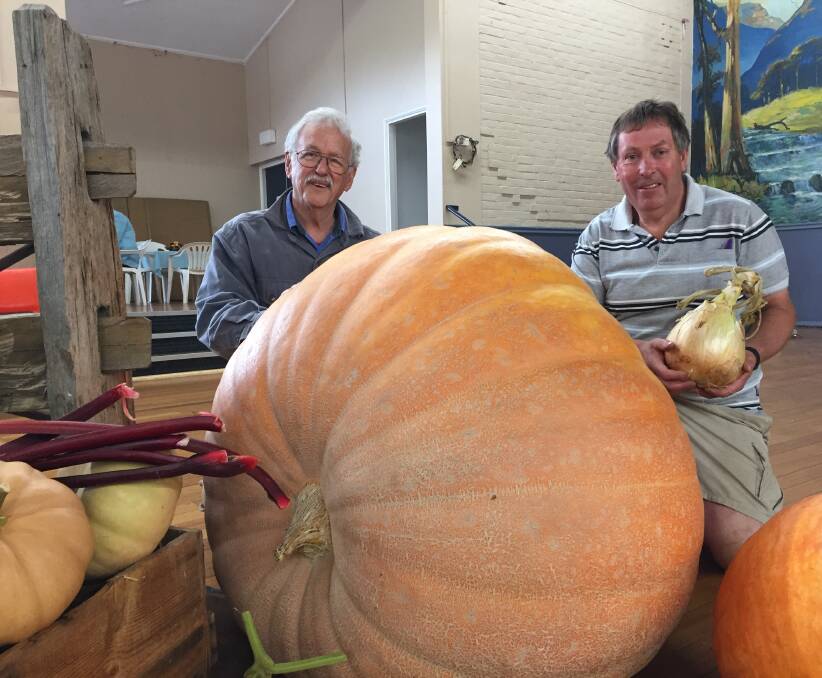 GINORMOUS: Judge Steve Solomon and exhibitor Warren Prewer with the winning giant vegetables. Picture: Tarlia Jordan