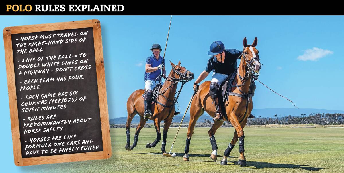 INSIDE INFORMATION: Australian polo legend Andrew Williams explains the ins-and-outs of polo. 