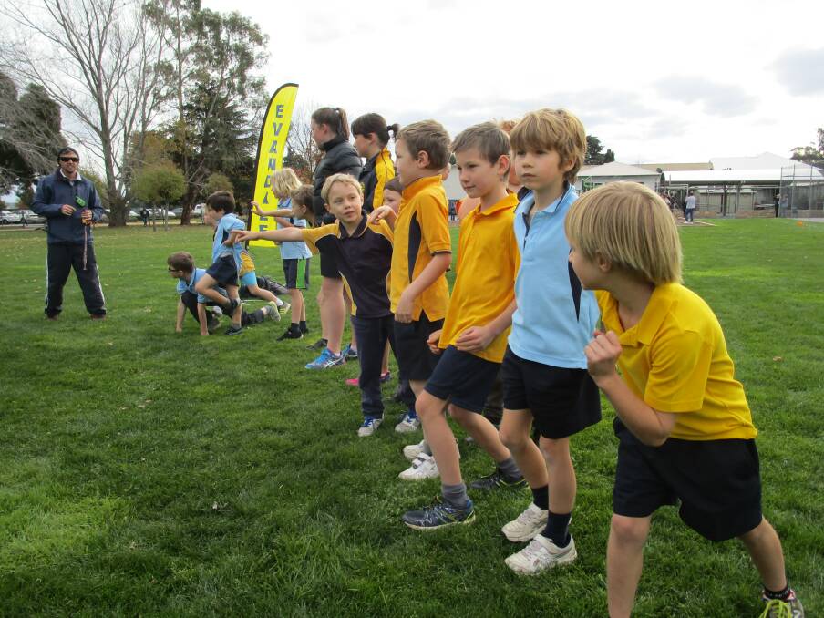 READY, SET, GO: The grade 1 boys at Evandale Primary School get ready to race in their cross country. Picture: supplied. 