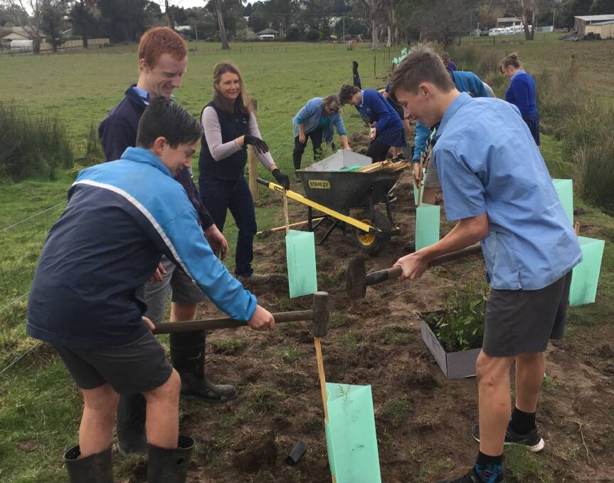 HARD AT WORK: Exeter District High School has planted more than 200 trees to help cement a waterway's future and make the area safe for wildlife. Picture: supplied. 