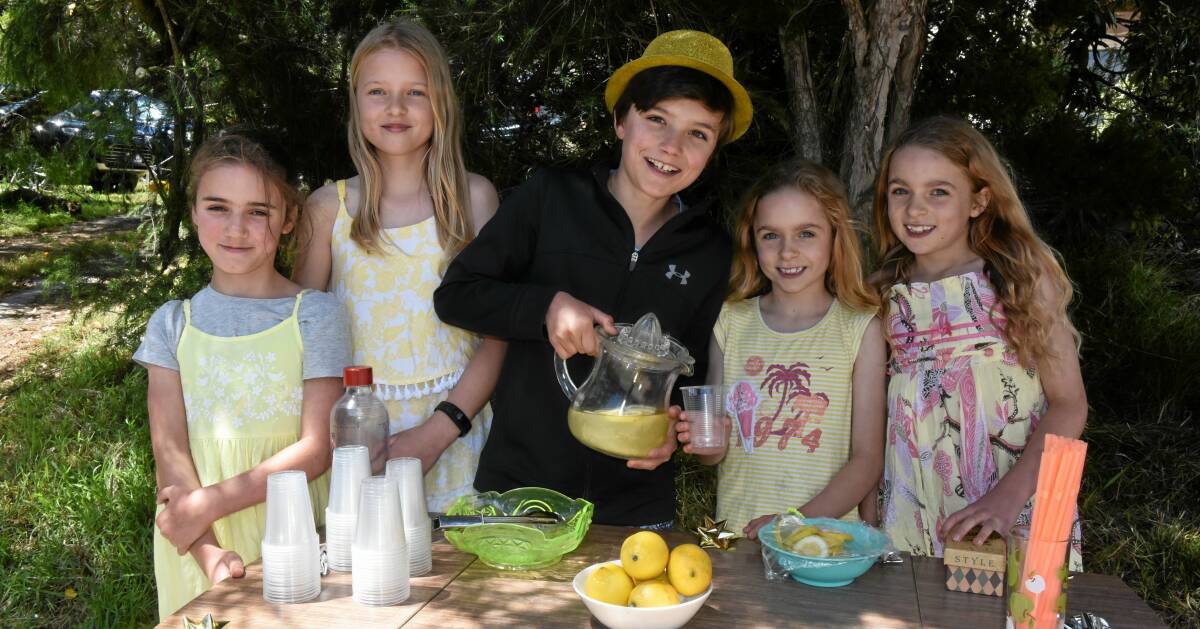 FRESH: Lemonade makers Mabel Murray, 8, Avril Reeve, 11, Maximus Murray, 12, twins Ariana and Sahara Reeve, 9, sell lemonade at their road-side stall. Picture: Neil Richardson 