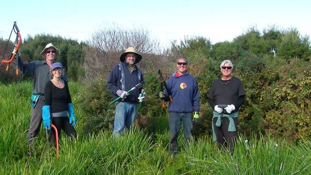 HARD AT WORK: The Seymour Community Action Group received a grant from the Break O'Day Council to help with gorse eradication. Picture: supplied. 