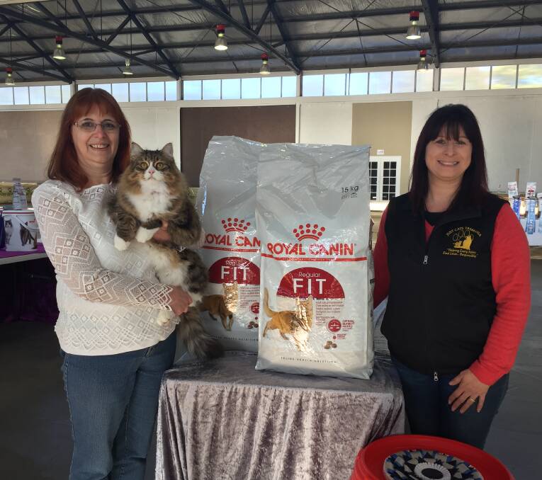 FELINE FEAST: Tracy Stewart with her Siberian cat Ziggy donates Ziggy's prize to Just Cats Tasmania owner Rachel Beech. Picture: Tarlia Jordan