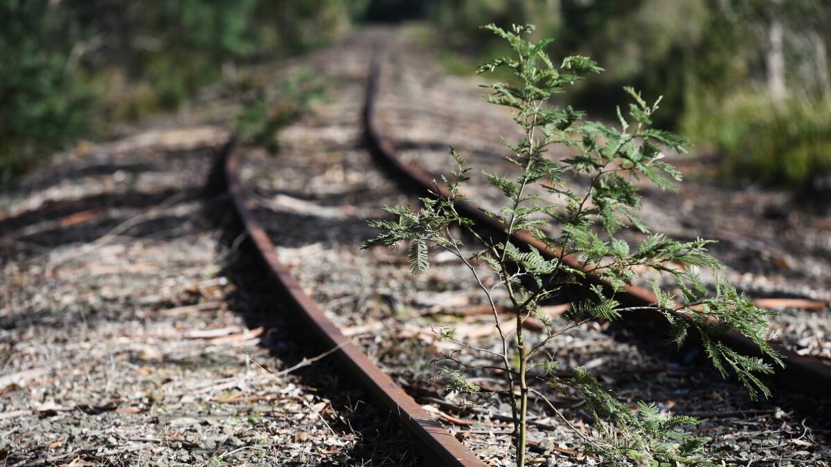 Rail Trail study still a work-in-progress