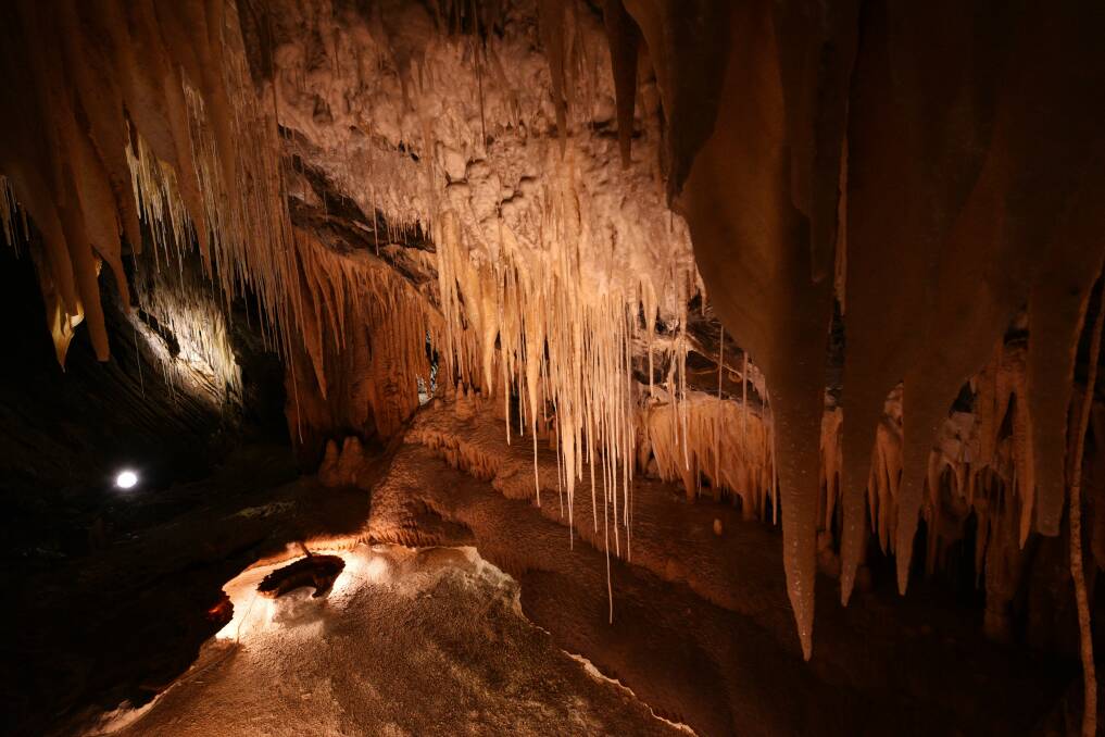 A free concert will be held in the Marakoopa Caves as part of the anti ageing festival. 
