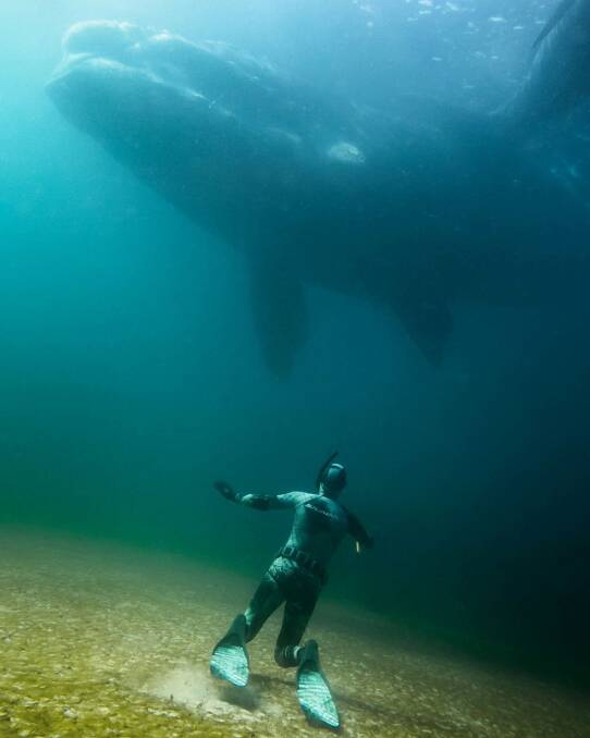 Pictures: Danny Lee - Submerged Images Tasmania 