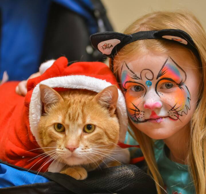 Gavin the Just Cats Tasmanian mascot dressed as Santa Claus, with Matilda Cameron, 6, of West Launceston at the organisation's biennial Cat and Kitten Expo held at Evandale Memorial Hall on Sunday. 