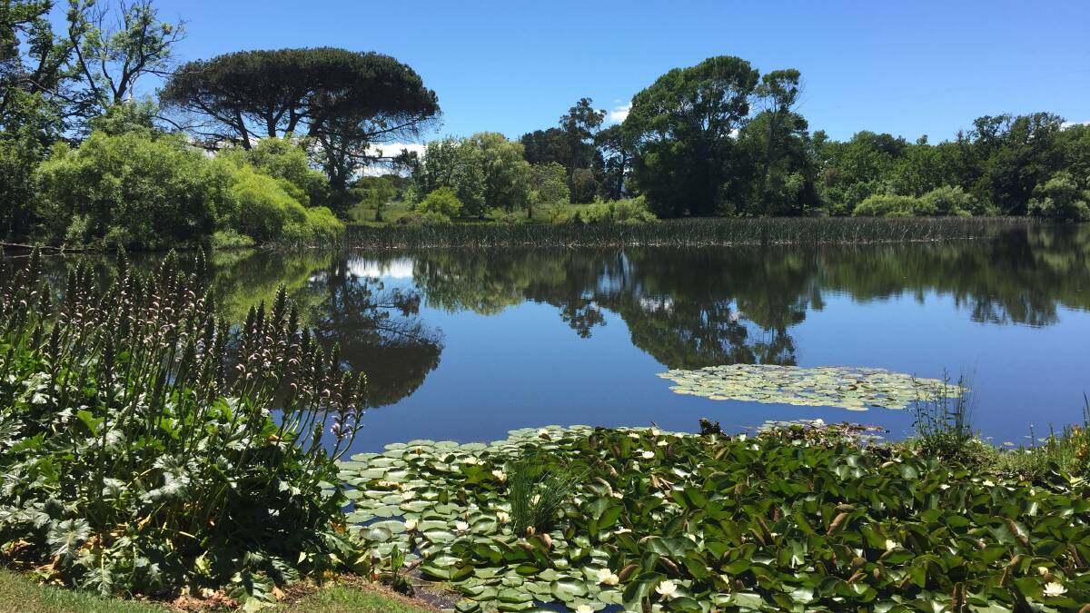 BEAUTIFUL: The pond at Strathmore Garden. Picture: Tarlia Jordan