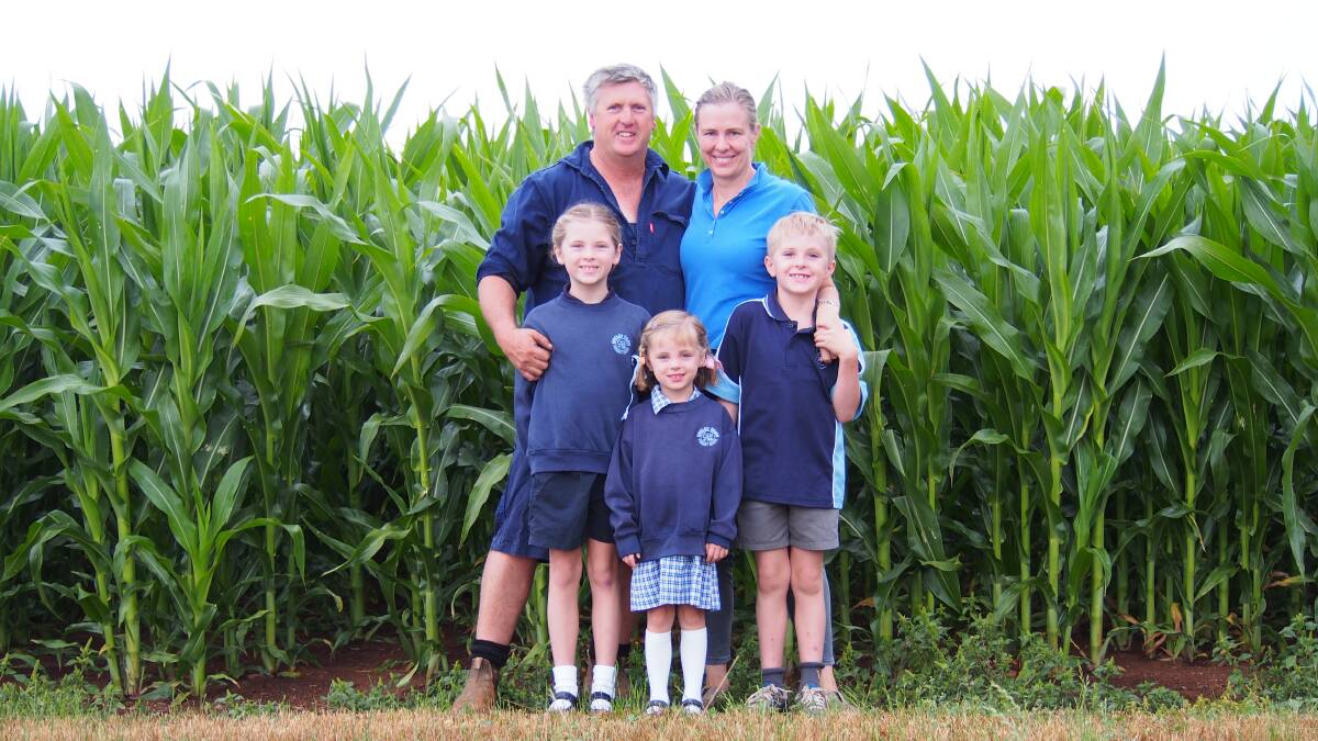 REACHING NEW HEIGHTS: Rowan and Anna Clark, with their children Molly, 8, Lindesay, 7, and Kate, 4, who are getting ready to open their maze made of maize on Saturday, for the third year. Picture: supplied 